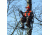Rivers Edge Treestands 1-Man XL Ladder Stand, Black RE648