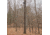 Rivers Edge Treestands Big Foot Tree Ladder W/ Safety Rope, Rivers Edge Grey, 23ft, RE731