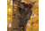 Rivers Edge Treestands DuraLite - Treestand, Black, 1-Man, RE580