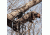 Rivers Edge Treestands Lockdown 21' 1-Man Ladder stand, Black RE651