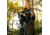 Rivers Edge Treestands Padded Backstraps, Black RE782