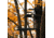 Rivers Edge Treestands Syct 2-Man Ladder Stand, Black RE642