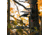 Rivers Edge Treestands Syct 2-Man Ladder Stand, Black RE642