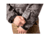 Rothco Special Ops Soft Shell Jacket - Mens, Black Camo, Medium, 97675-BlackCamo-M