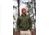 Royal Robbins Venturelayer Fleece 1/4 Zip Pullover - Men's, Large, Cypress, Y412025-190-L