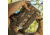 RTS Tactical OPSEC Advanced Quick Release Plate Carrier