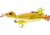 Savage Gear 3D Duck Topwater Hard Bait, 6in, 2.75oz, Yellow Duckling, 1586882