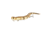 Savage Gear 3D Wake Snake Topwater Hard Bait