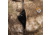 ScentLok Ridge Hunting Jacket - Men's, Realtree APX Camo, Large, 1409221