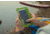 SealLine E-case