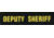 Shellback Tactical Deputy Sheriff ID Placard, Hook Back, 1 x 5in?h, Gold on Black, One Size Fits Most SBT-X213231A-DSH-GB