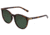 Sixty One Sunglasses Palawan Polarized Sunglasses - Unisex, Tortoise/Black, One Size, SIXS108TO