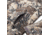 SKRE Gear Hardscrabble Jacket - Mens, Solace, 2XL, HJ2XL4