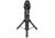 Sky Watcher EQ8-Rh Mount w/ Pier Tripod, Black, S30701