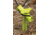SlotLock 9 inch Anchoring 4-Stake Kit, Green SL9-4B