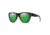Smith Rockaway Sunglasses, Tortoise Frame, ChromaPop Polarized Green Mirror Lens, 2043169N452UI