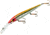 Smithwick Deep Suspending Rogue Lure, 6in, Clown, ASSRB1235