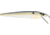 Smithwick Suspending Rattlin' Rogue Jerkbait, 4.5in, Foxy Shad, ASDRB12272