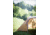 Snow Peak Amenity Dome L, Large, SDE-003RD