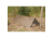 SnugPak All Weather Shelter, Coyote 9006198