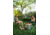 Solo Stove Yukon, Shelter And Stand, Stainless Steel, SSYUK-SD-27-2.0+SHELTER
