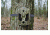 Spy Point Mini-Live 8MP Trail Wireless Network HD Camera w/Time-Lapse and Multi-shot, Camo Mini-Live