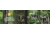 Spy Point Mini-Live 8MP Trail Wireless Network HD Camera w/Time-Lapse and Multi-shot, Camo Mini-Live