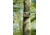 Spy Point Tiny Plus 10MP Invisible LED HD Trail Camera w/Time-Lapse and Multi-shot, Camo Tiny Plus