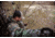 Spypoint Flex Camera, Gray, FLEX
