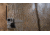 Spypoint LINK-MICRO-LTE Trail Camera, Nationwide Cell Service, Camo, LINK-MICRO-LTE