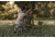 Spypoint LINK-MICRO-LTE Trail Camera, Verizon Cell Service, Camo, LINK-MICRO-LTE-V