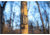 Stealth Cam Trail Cam Eco Mount