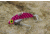 SteelShad 3/8 oz Blade Bait, Purple, SSL-10136