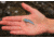 SteelShad Mini, 2 Pack, 1/4 Oz, Kentucky Shad, SSL-10115