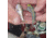 SteelShad Mini, 2 Pack, 1/4 Oz, Sexy Shad, SSL-10077