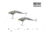 SteelShad Mini, 2 Pack, 1/4 Oz, Silver/Chrome, SSL-10075