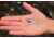 SteelShad Mini, 2 Pack, 1/4 Oz, Tennessee Shad, SSL-10116