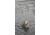 SteelShad Mini, 2 Pack, 1/4 Oz, White Shad, SSL-10078