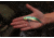 SteelShad XL Bait, 3/4 Oz, Perch / Firetiger, SSL-10015