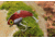 SteelShad XL Bait, 3/4 Oz, Red/Crawfish, SSL-10014