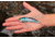 SteelShad XL Bait, 3/4 Oz, Tennessee Shad, SSL-10036