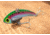 SteelShad XL Bait, 3/4 Oz, Trout, SSL-10016