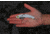 SteelShad XL Bait, 3/4 Oz, White Shad, SSL-10063