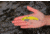 SteelShad XL Bait, 3/4 Oz, Yellow Shad, SSL-10068