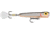 Storm Rattlin Chug Bug Topwater Popper, 2 1/2in, 1/4oz, Floating, Tennessee Shad, CB061351