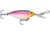 Storm Original Hot N Tot 05 Hard Bait, Rainbow-descent Glitter, H252