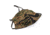 Strike Industries Mask Sleeve With Head Loop, Tigerstripe Camo, One Size, SI-TIGERMASKSLEEVE