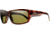 Suncloud Polarized Optics Touchstone Sunglasses-Tortoise-Polarchromic Amber