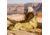 Survive Outdoors Longer Escape Bivvy With Hood, Green, 0140-1236
