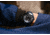 Szanto Icon Frank Stephenson Cosmos Watches, Blue Dial, Blue Strap, BLUE, One Size, IC-FS-9003